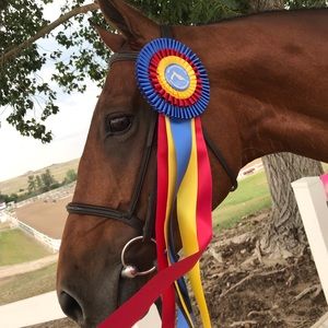 Meet your Posher, Olivia